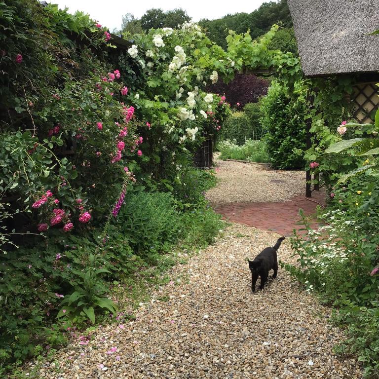 Gîte Du Vivier — 2