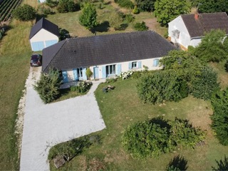 Le Hérisson Bleu — 2