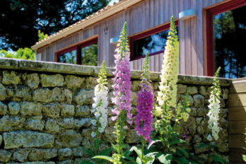 Cosy Cottage — 5