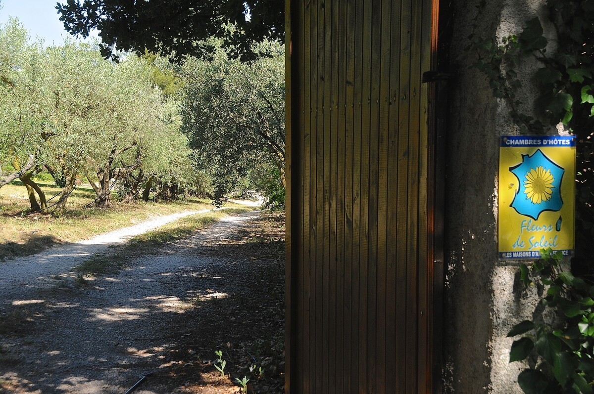 Un Lit En Provence — 2