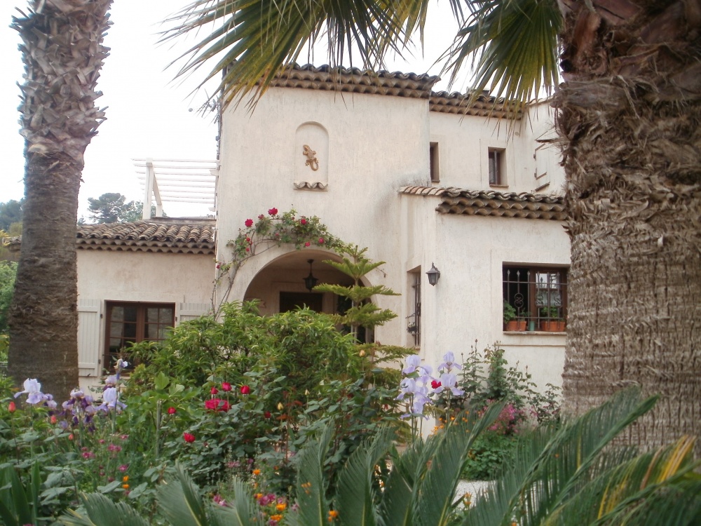 Oasis D'amon — 2