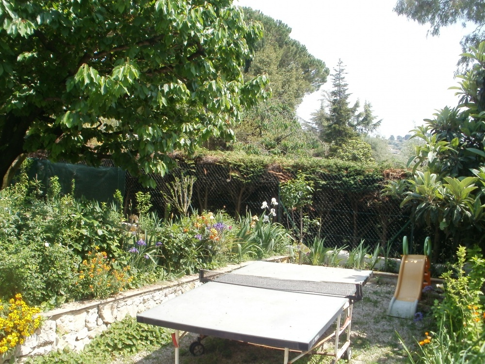 Oasis D'amon — 6