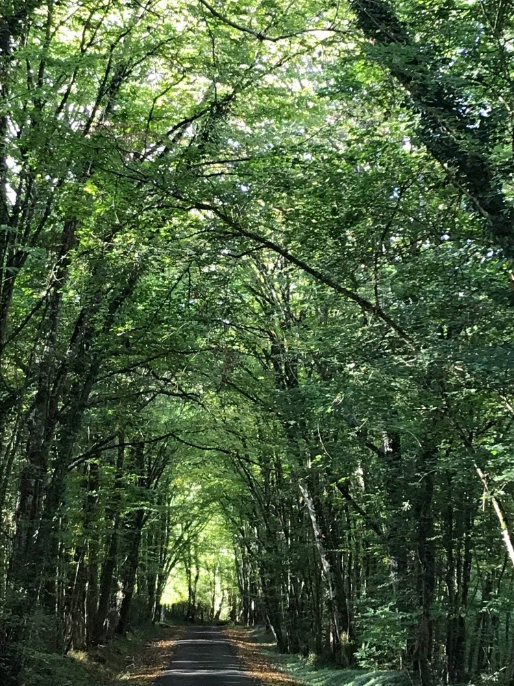 Gite Nature Loire Et Châteaux - 3*** — 6
